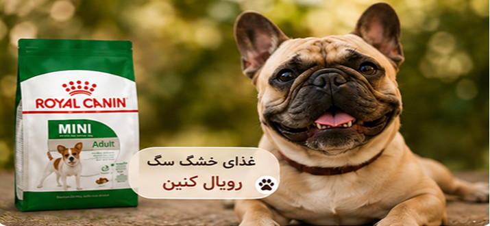 بنر پایین راست
