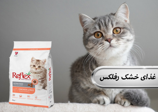 بنر 2