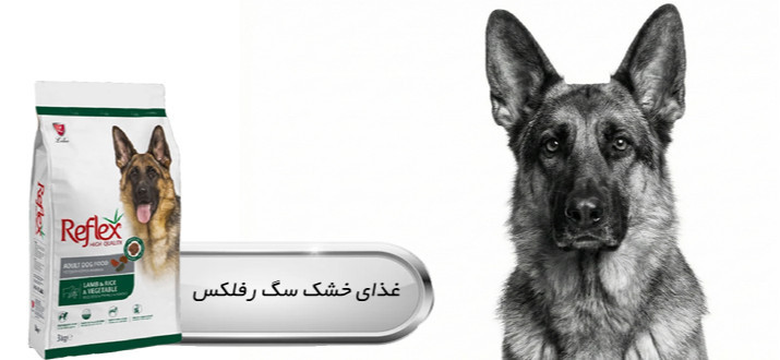 بنر پایین راست