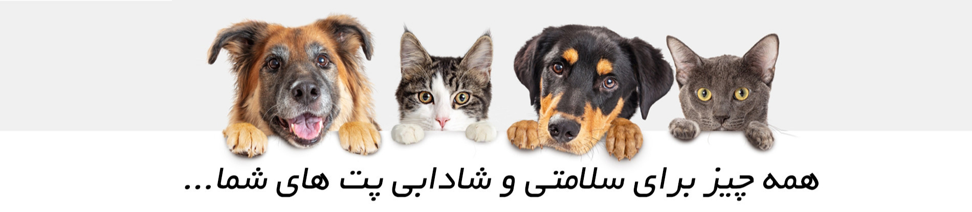 اسلایدر 1