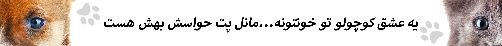 بنر بزرگ وسط