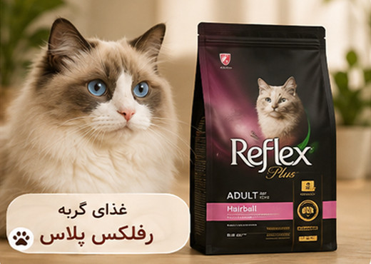 بنر 1