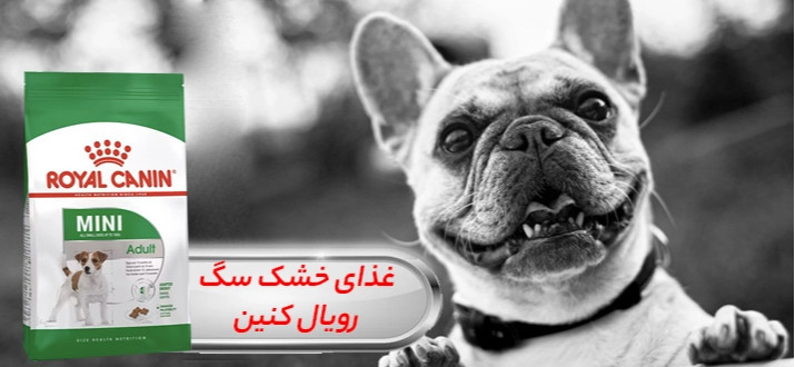 بنر پایین راست