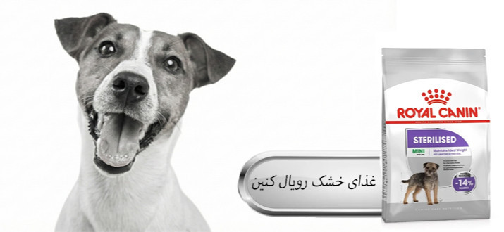 بنر پایین چپ