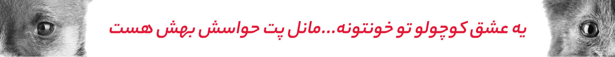 بنر بزرگ وسط