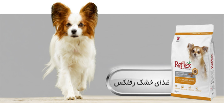 بنر پایین چپ