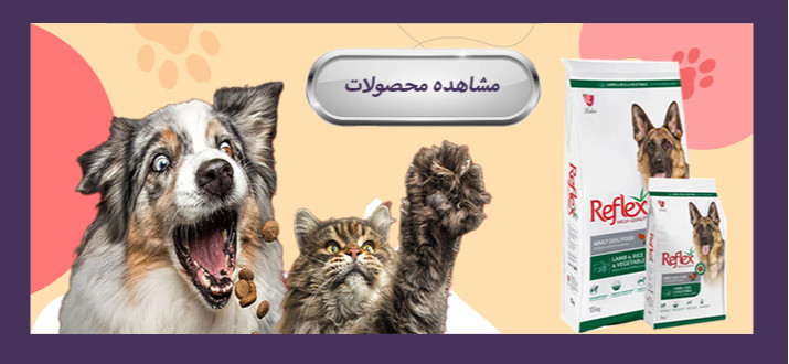 بنر پایین چپ