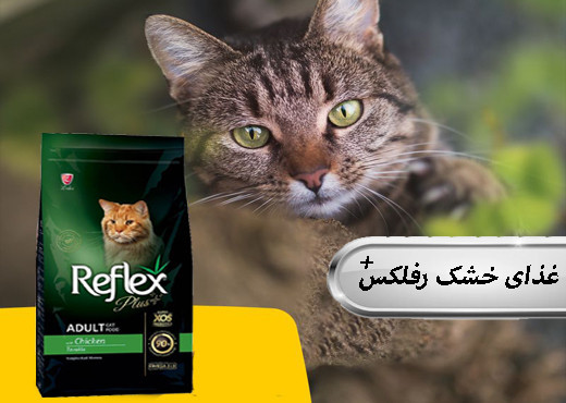 بنر 1