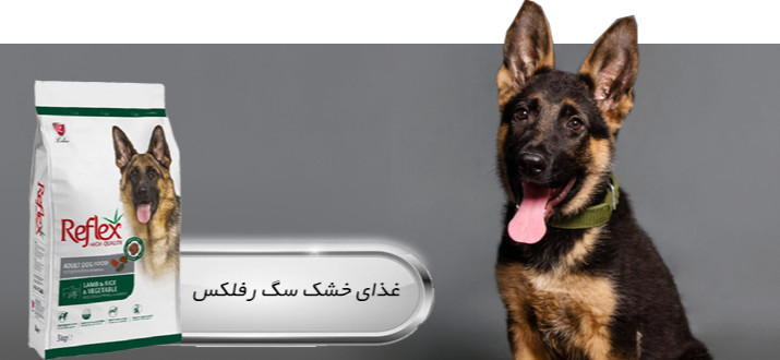 بنر پایین راست