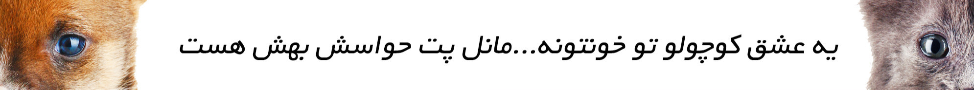 بنر بزرگ وسط