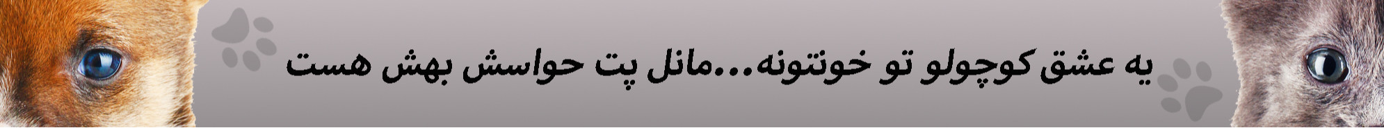 بنر بزرگ وسط