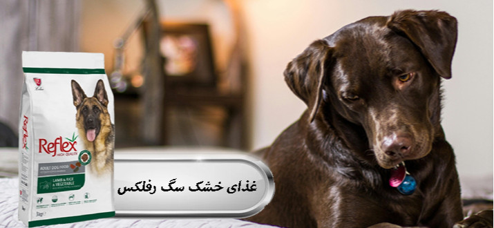 بنر پایین راست
