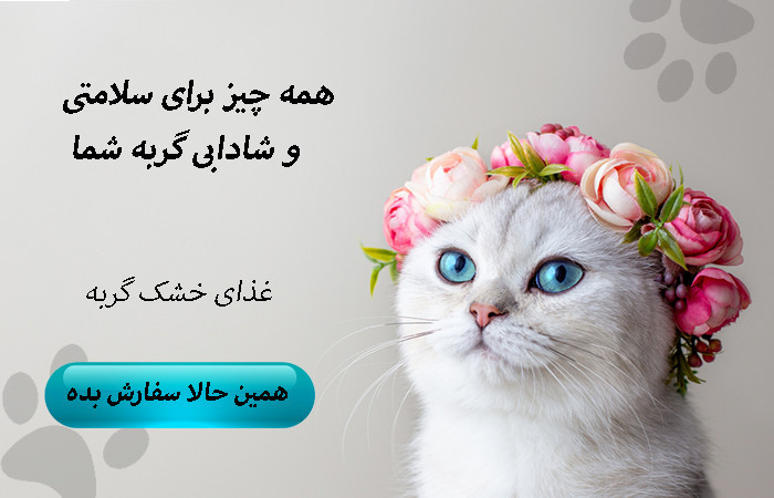 اسلایدر 1