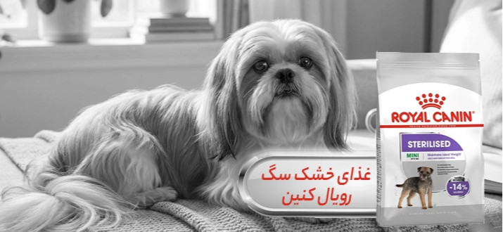 بنر پایین چپ