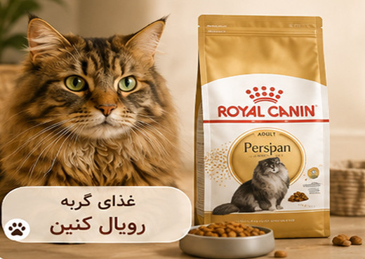 بنر 2