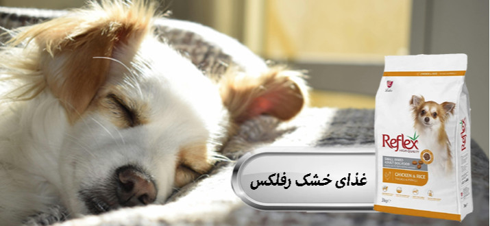 بنر پایین چپ