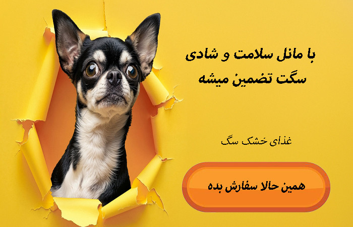 اسلایدر 02