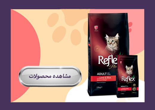 بنر 2