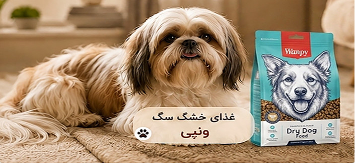 بنر پایین چپ