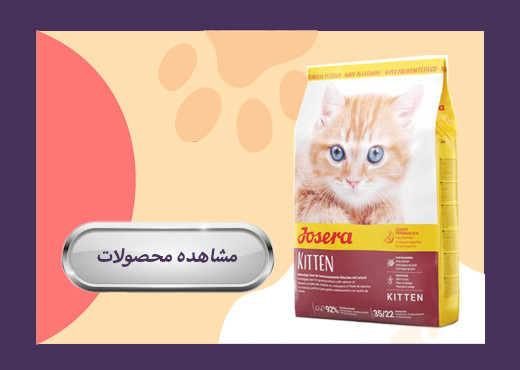 بنر3