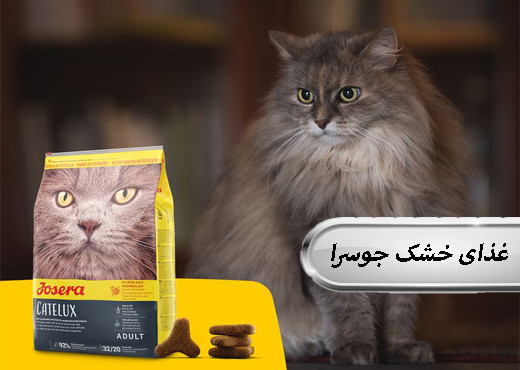 بنر3