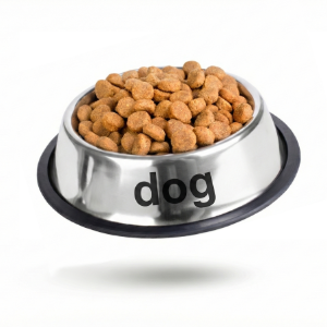 غذای خشک سگ