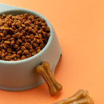 غذای خشک سگ