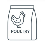 غذای خشک گربه با طعم گوشت طیور