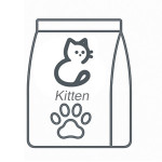 بچه گربه (کیتن)