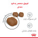 غذای خشک دنتال گربه رویال کنین