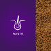 غذای خشک گربه کولینس جوسرا
