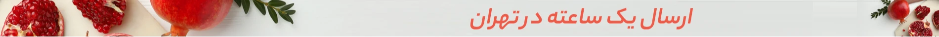 پت شاپ مانل